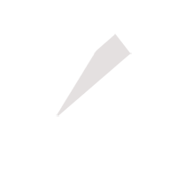 南平临时保镖服务